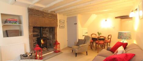 TV, fireplace, DVD player, books