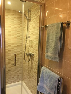Bathroom features a glass-enclosed shower with handheld showerhead and wall-mounted faucet, alongside a bathtub with towel rack.