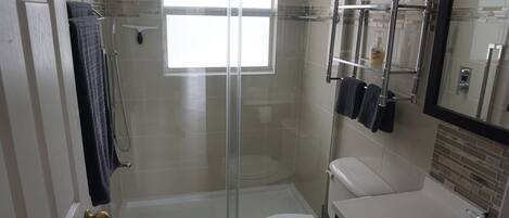 A modern bathroom with a glass shower enclosure, a toilet, and a sink.