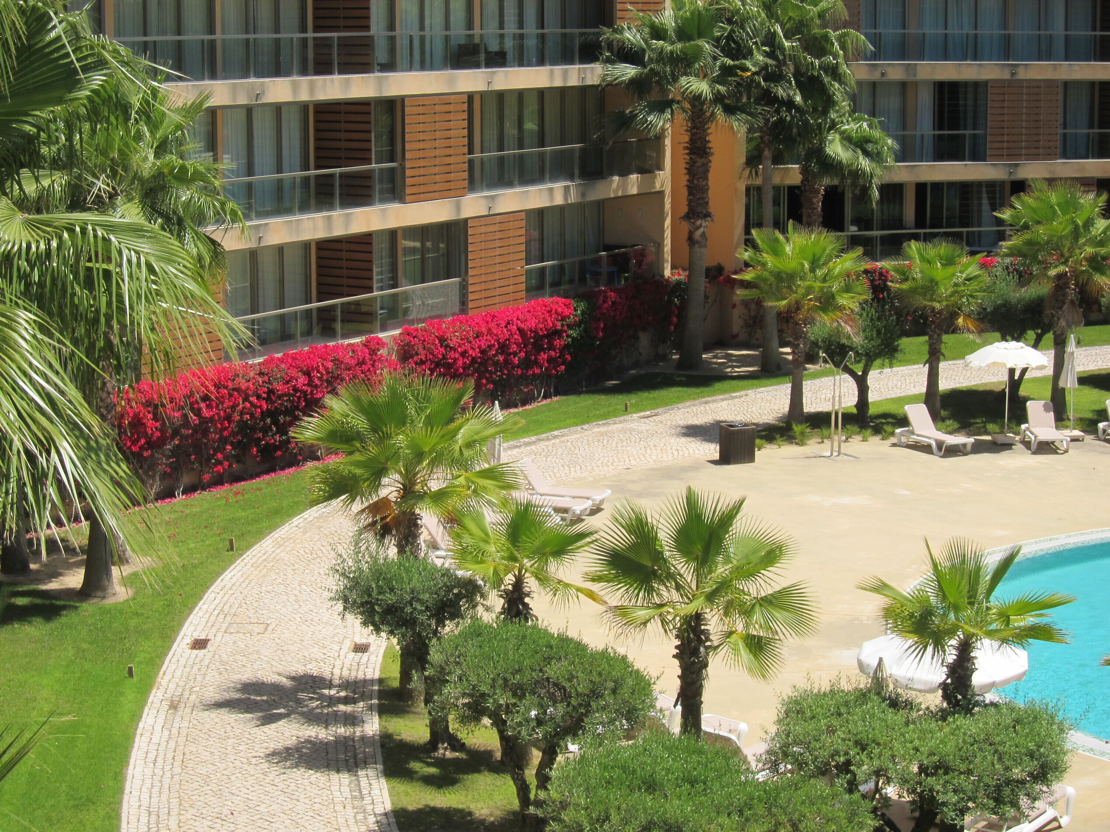 Un hotel con piscina, palmeras y flores rojas.