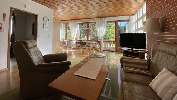 TV, DVD player, books, music library