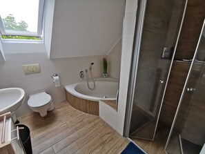 Douche, sèche-cheveux, serviettes fournies, papier toilette