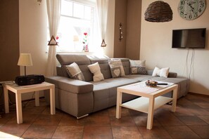 Fernseher, Kamin