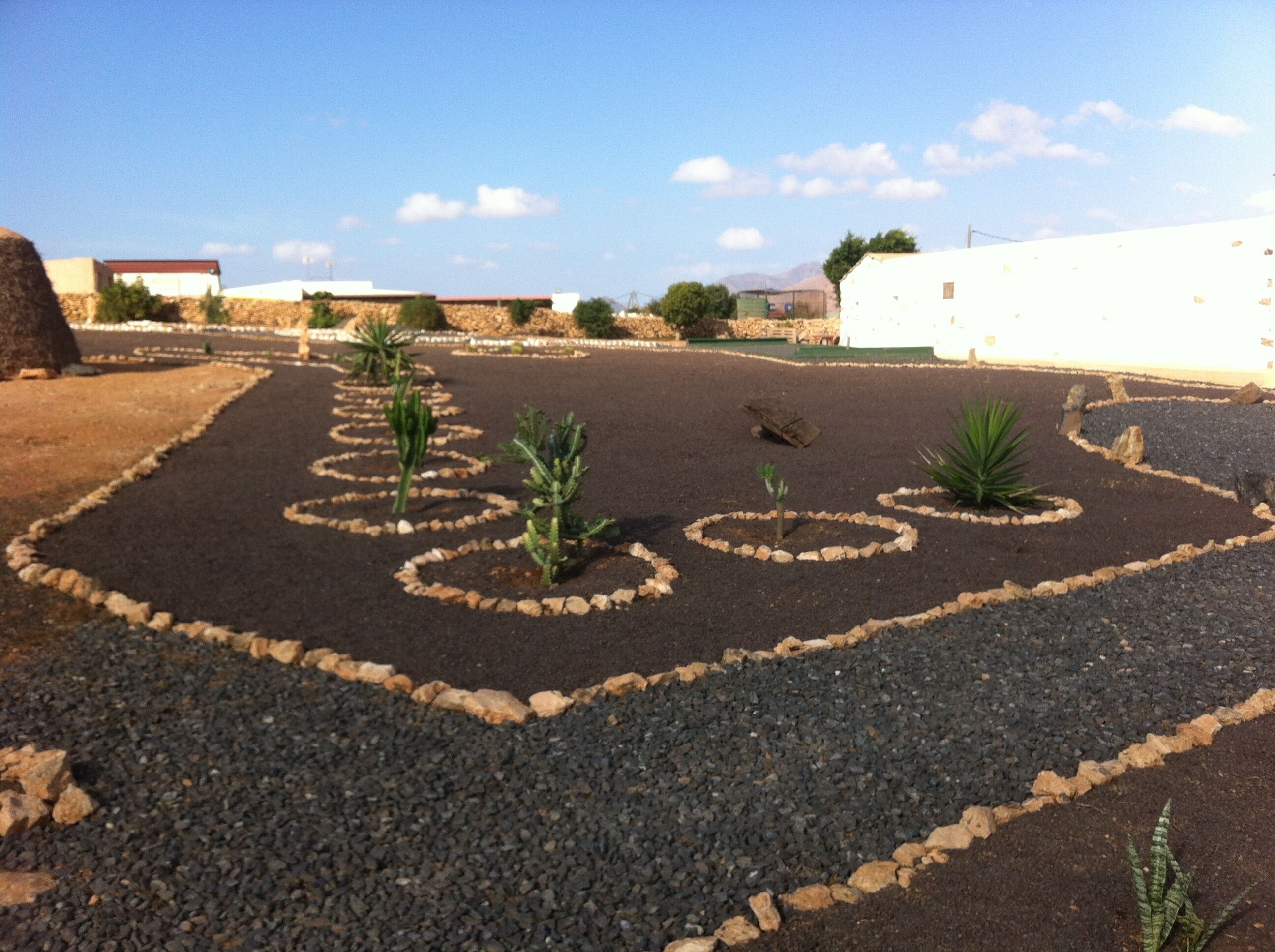 A garden with circular plant arrangements and a gravel path.