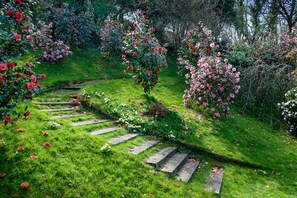 Jardines del alojamiento