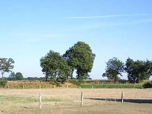 Miscellaneous - Apartment - Ferienhaus Zur Schmiede (Dunum)