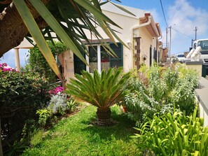 A well-maintained garden with a variety of plants and a palm tree, a building with a beige facade and green shutters, and a parked vehicle.