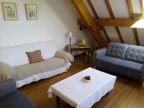 TV, DVD player, table football, books