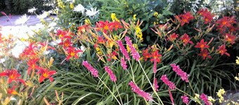 Zeelandhaus, THE house for two - sea and more