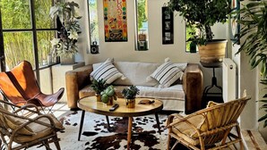 A cozy living room with a cowhide rug, wooden furniture, and various plants. - ARLES Camargue, Character Arles House with Pool (Arles)