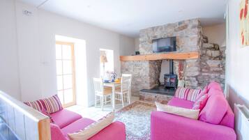 TV connectée, cheminée, lecteur de DVD