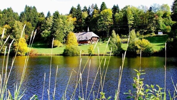 A lakeside view with a house surrounded by trees and a grassy area. - Vacation on a farm - discover and experience nature (Baden-Württemberg)