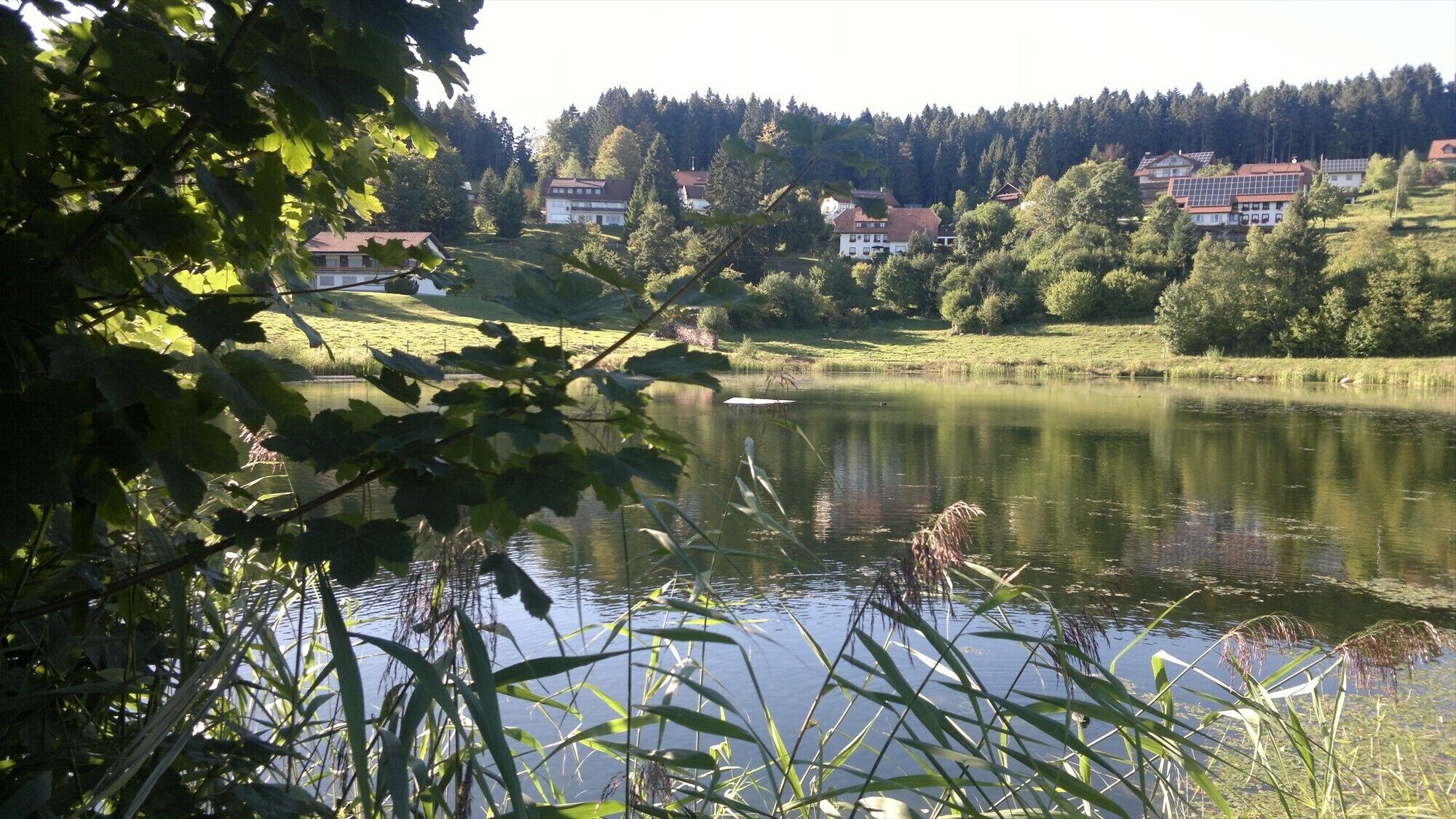 A serene lakeside view with houses in the background.