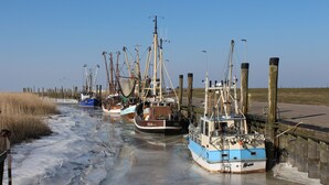 A row of boats docked along a frozen waterway with a clear sky above. - Renner Vacation Home Behind the Dike in Spieka-Neufeld, Including a Beach Chair (Wurster Nordseeküste)