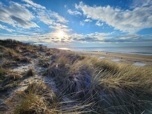 Une plage avec des dunes et un ciel dégagé.