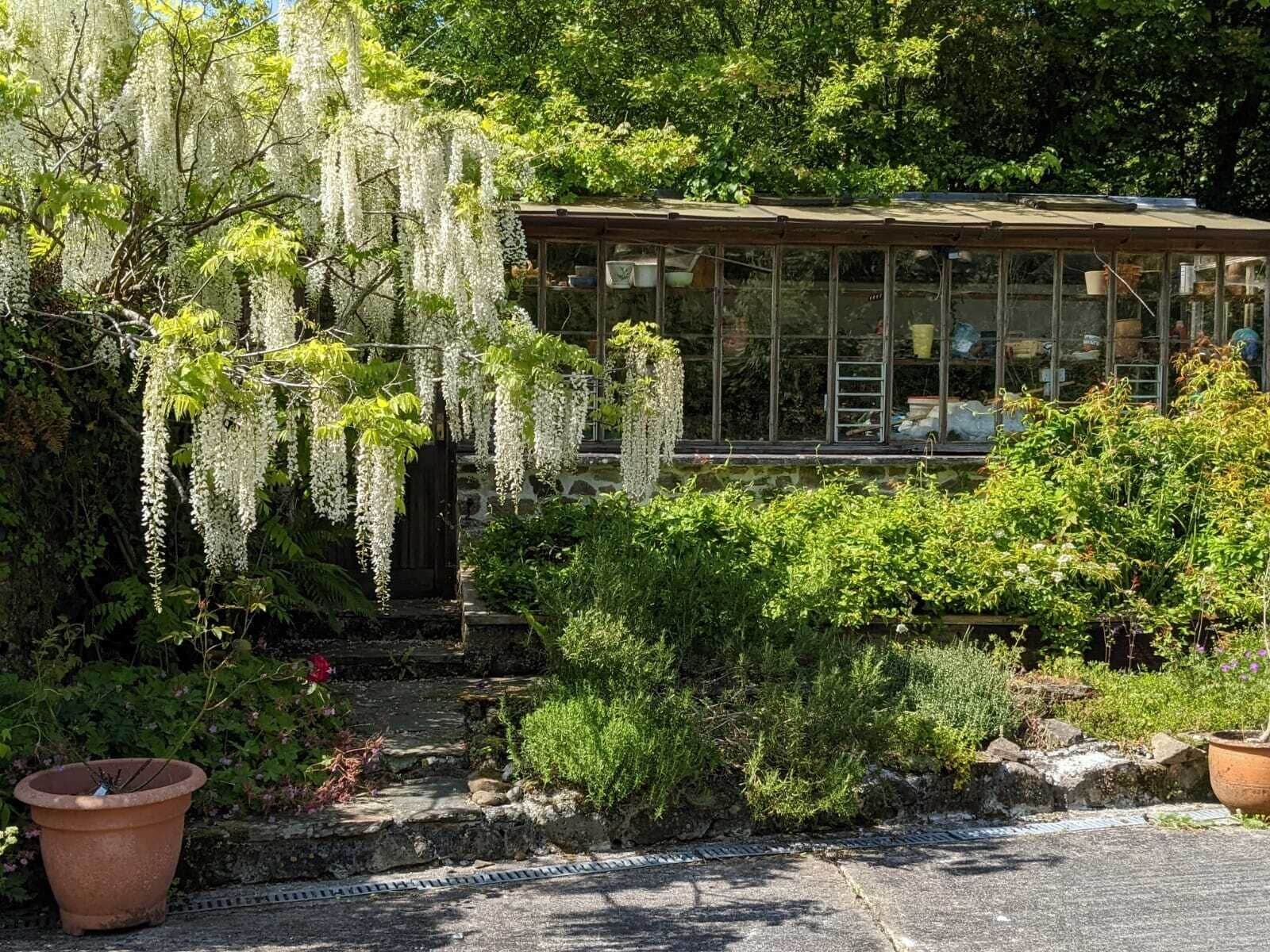 Greenhouse opposite Little Barn