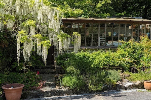 Greenhouse opposite Little Barn