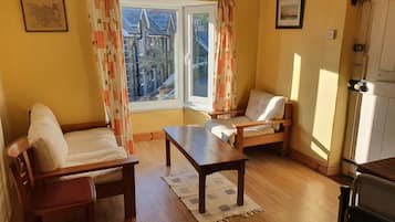 TV, fireplace, books