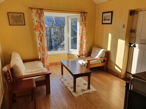 Televisión, chimenea y libros 