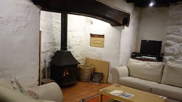 TV, fireplace, books