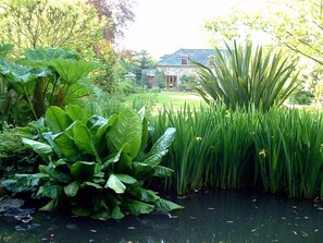 Property grounds - Charming former coach house in an idyllic woodland garden, 300m from St Kew Inn. (Wadebridge)