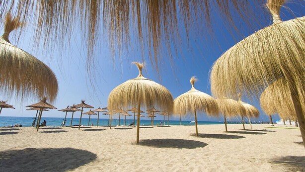 Une plage avec des parasols en chaume et un ciel bleu dégagé.