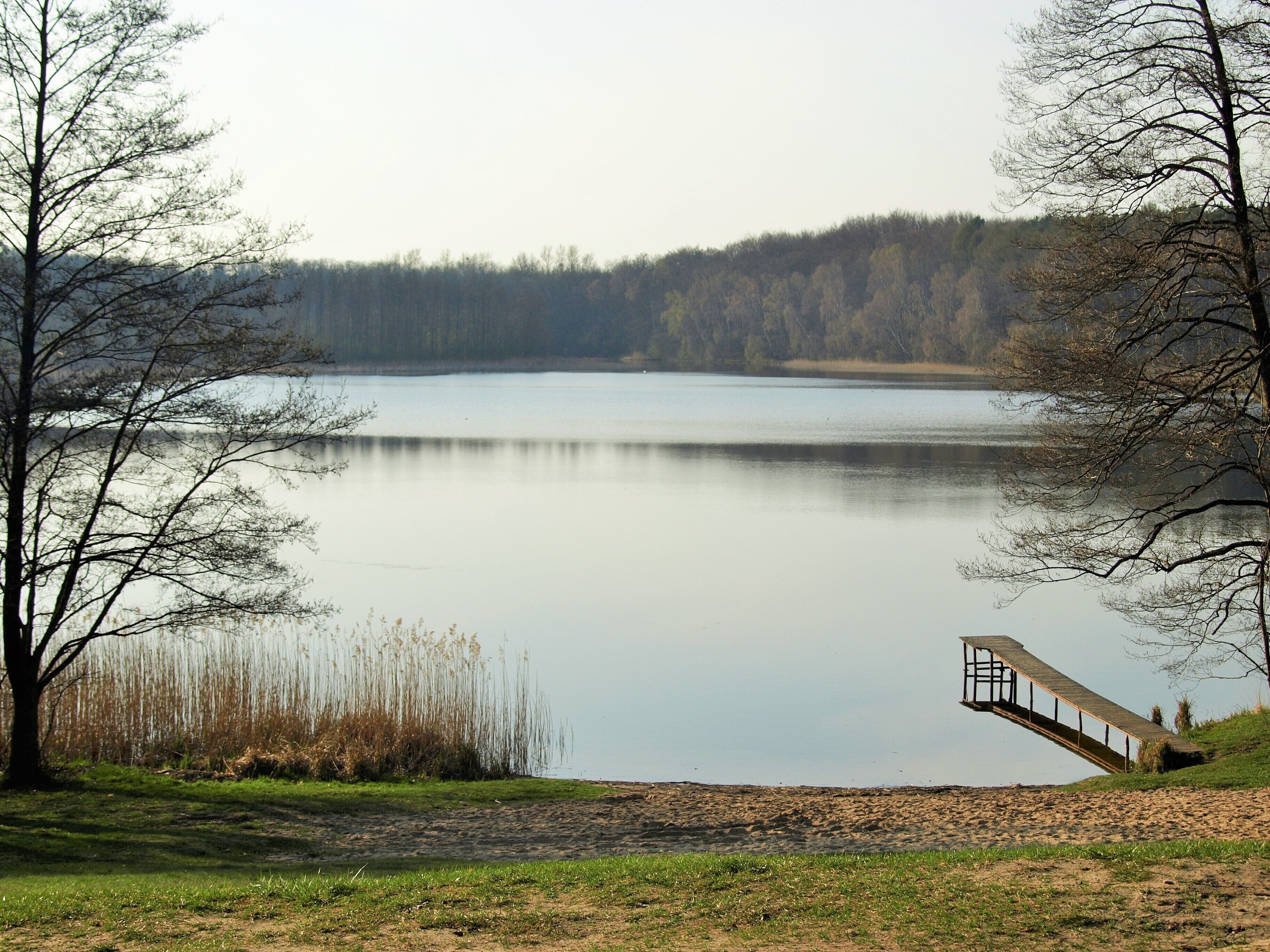Un lago tranquillo con un ponte di legno che conduce a un molo, circondato da alberi e prati.