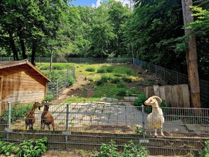 Parco della struttura