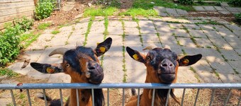 Huoneisto 6 hengelle - Berg-Bungalows Leinleitertal