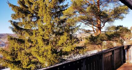 Ferienwohnung bis 4-6 Personen - Berg-Bungalows Leinleitertal