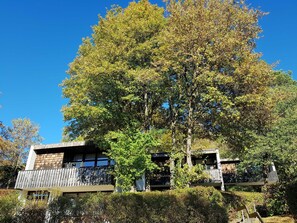 Esterni