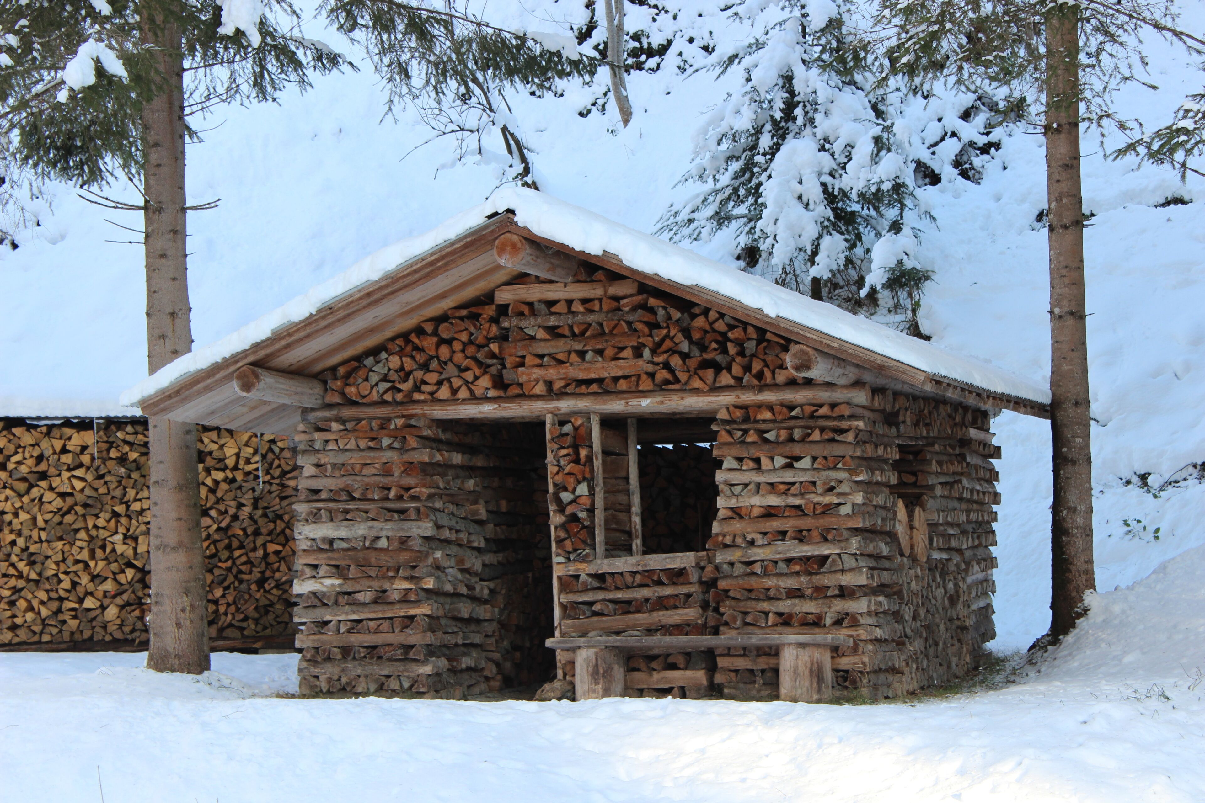 A log cabin with a snow-covered roof, surrounded by trees and a stack of firewood.