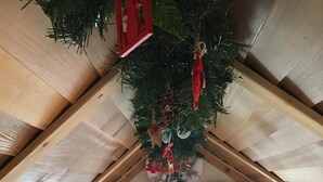 A room with a wooden ceiling, a Christmas tree, and a door adorned with festive decorations.