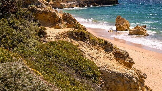 A coastal landscape with rocky cliffs, sandy beach, and green vegetation.