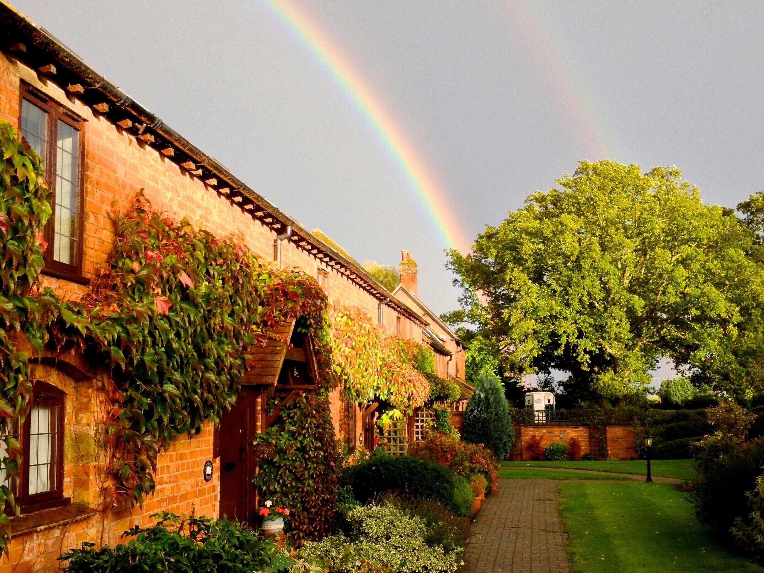Rainbow