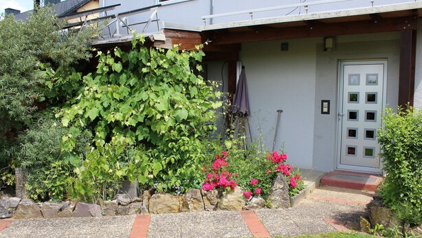 A house with a front garden, a door with a window, and a stone wall.