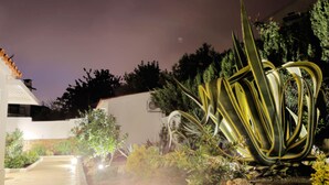 Un jardín bien iluminado con diversas plantas y una gran escultura decorativa de metal.