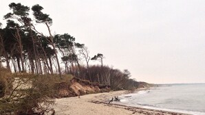 Uma praia arenosa com árvores e um mar calmo.
