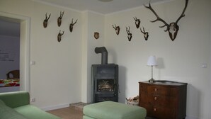 A living room with a fireplace, green sofas, a wooden cabinet, and deer antlers on the wall. - beautiful garden with village idyll on the lagoon (usedom)
