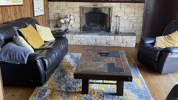 TV connectée, cheminée, livres, vidéothÚque