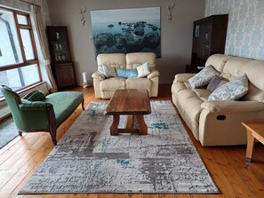 TV connectée, cheminée, livres, vidéothèque