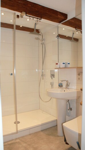 Shower, hair dryer, towels, soap