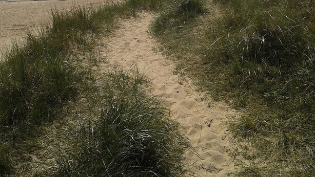 A sandy beach path leading to the sea with a building on the right. - Dog Friendly, Cosy Fisherman's Cottage Within 150 Metres Of A Long Sandy Beach  (Caister-on-Sea)