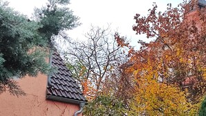 A pink building with a tiled roof, a wooden pergola, and autumn foliage.