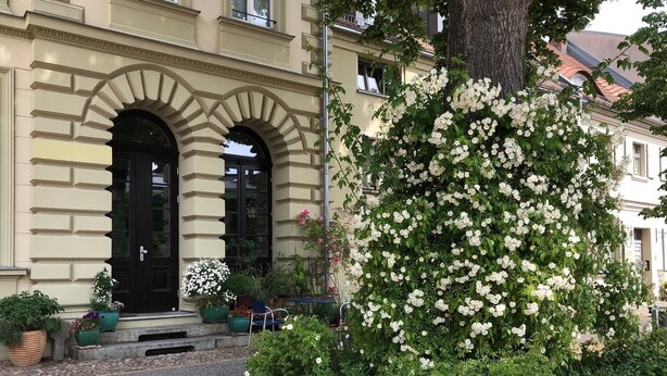 A building with a classic facade, a black door, and a garden with white flowering plants. - exclusive loft (Werder/Havel)