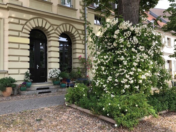 Detalle exterior