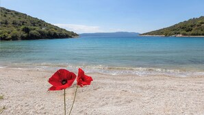 A beach with two red flowers in the foreground and a calm sea under a clear sky.