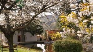A serene garden with a bench, a pond, and a building in the background. - Organic home, garden & swimming pond, quiet location, Vienna reached in 15 min (Maria Enzersdorf)