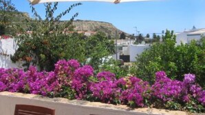 Vista de um edifício com fachada branca, rodeado por flores de bougainvillea roxas e arbustos verdes.