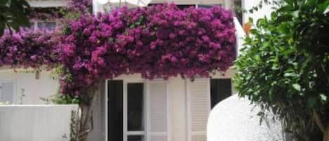 Detalle del exterior